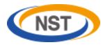 株式会社NSTのロゴ